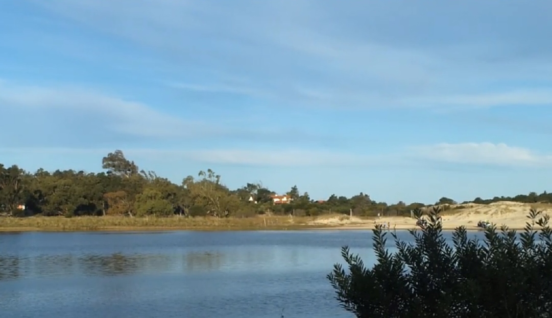 arroyo-solís-chico-1
